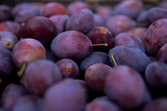 Frische Pflaumen abziehen / enthäuten und Kompott selber machen – Omas Rezept