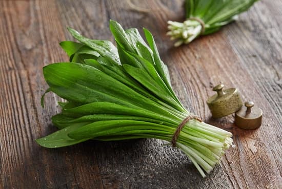 Frischer Bärlauch als Suppe zubereiten – das Rezept