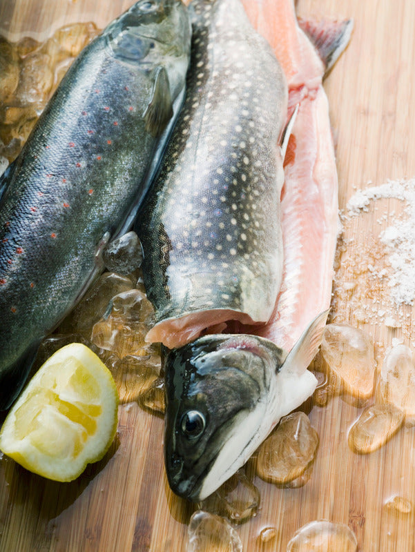 Saibling gebraten mit Pfifferlingen, Steinpilzen und Lauchpüree