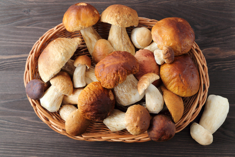 Steinpilze a la Creme & grobe Bratwurst – einfache Küche