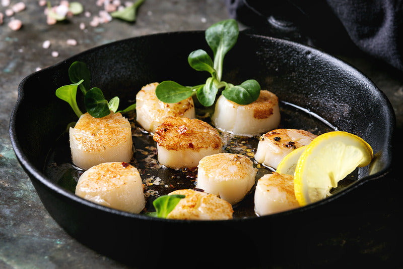 Jacobsmuscheln richtig marinieren & knackig braten. Bestes Rezept