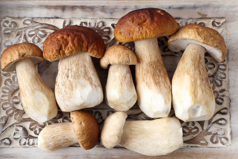Steinpilze mit Pasta zubereiten. Dafür brauchst Du nicht nach Italien