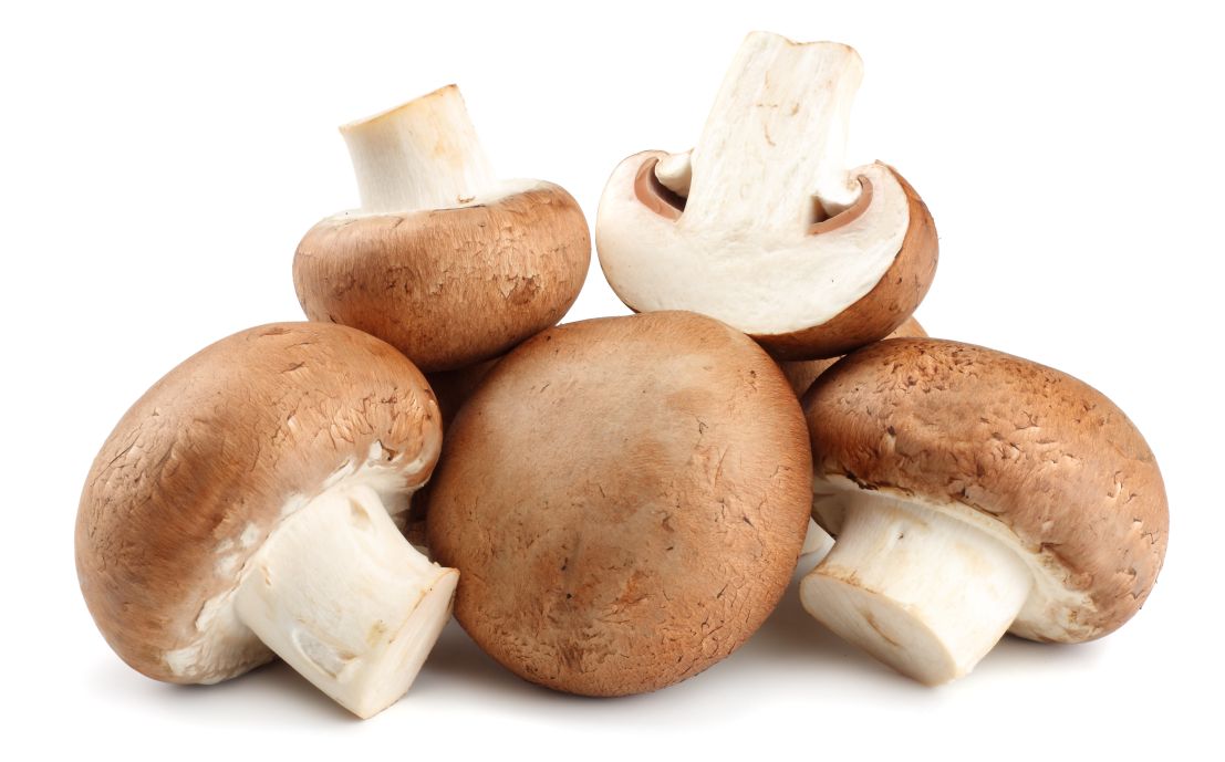 Champignons in saurer Sahne