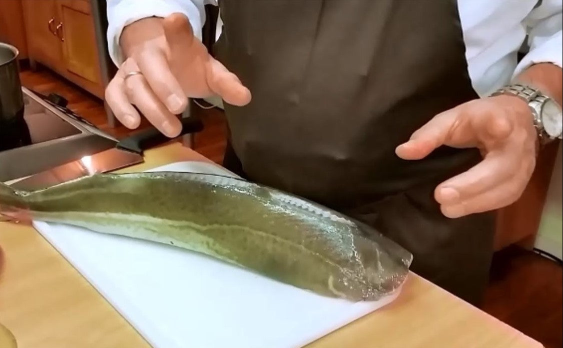 Kabeljau oder Dorsch in Senfsoße - Kochfisch
