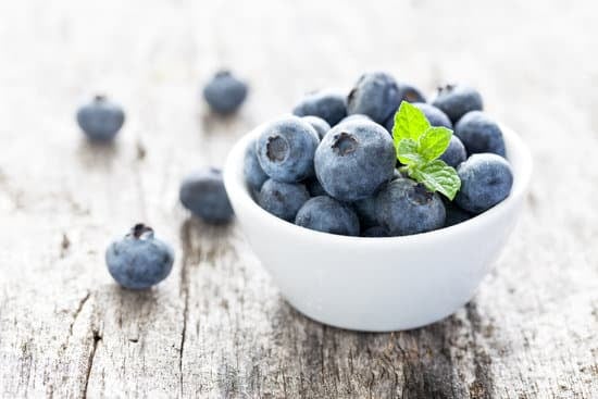 Lecker Blaubeer-Pancake auf Hof Oelkers