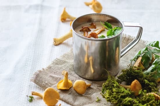 Beste Pilzsuppe mit Pfifferlingen