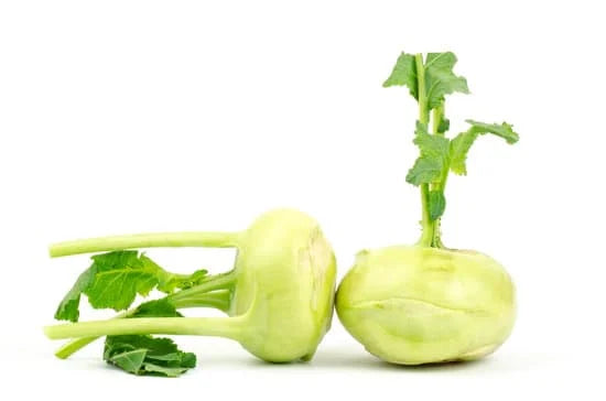Frischer Kohlrabi in weißer Soße kochen – Omas Rezept