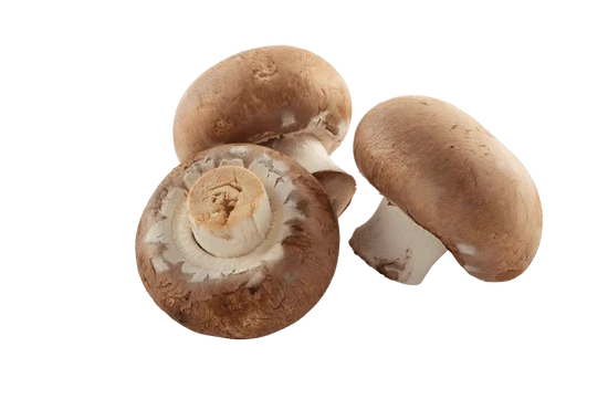 Gebratene Champignons in Sauer Sahne zubereiten – Pilzpfannenrezept