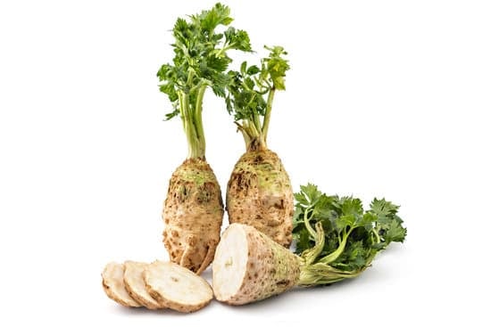 Selleriesalat selber machen – gesund und einfach mit knackigem Granatapfel – Omas Rezept