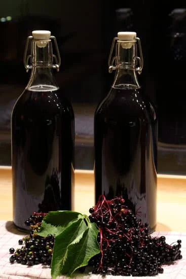Besten Holundersaft selber kochen – Fliederbeeren einkochen wie Oma
